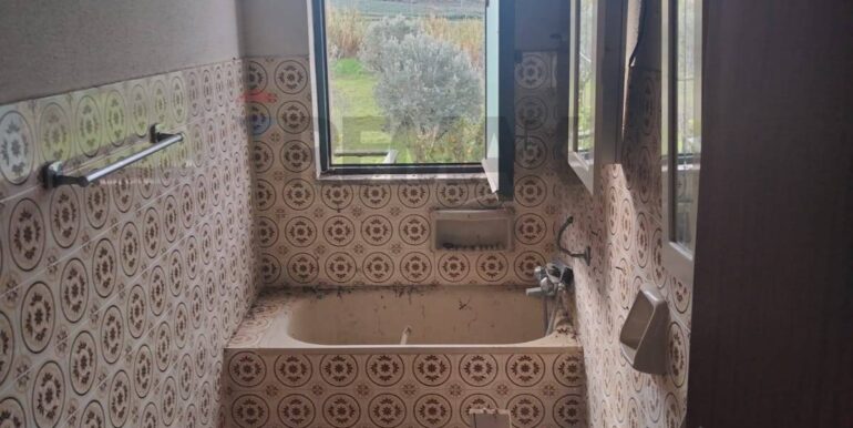 20260126123529-1019703-15