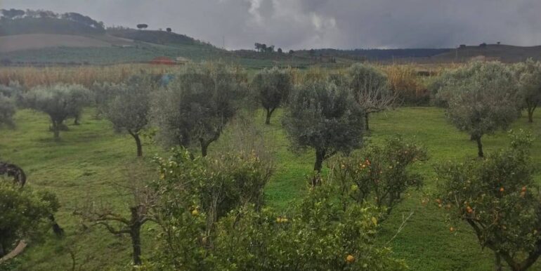 20260126123531-1019703-16