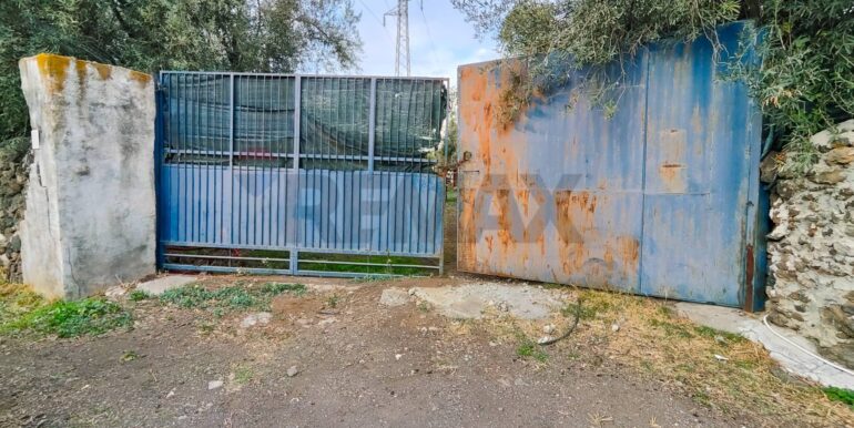 20260126181303-1018678-12