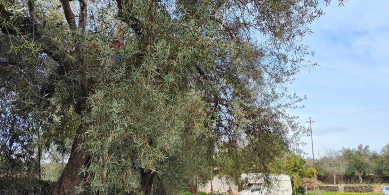 20260126181313-1018678-14