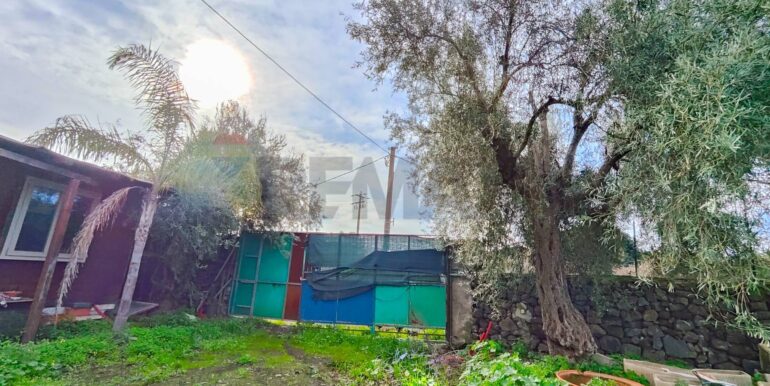 20260126181324-1018678-16