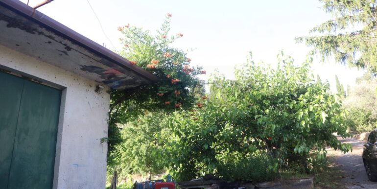 20260126184003-1019808-0