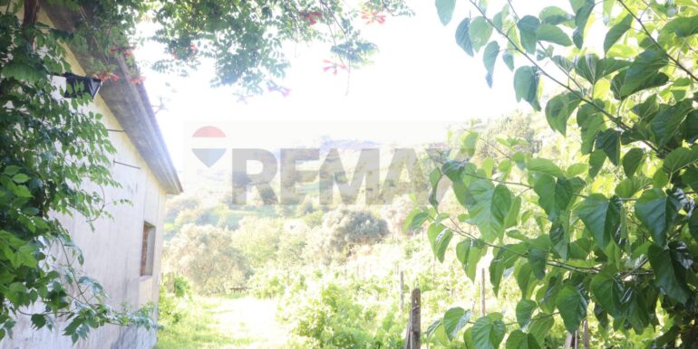 20260126184003-1019808-2