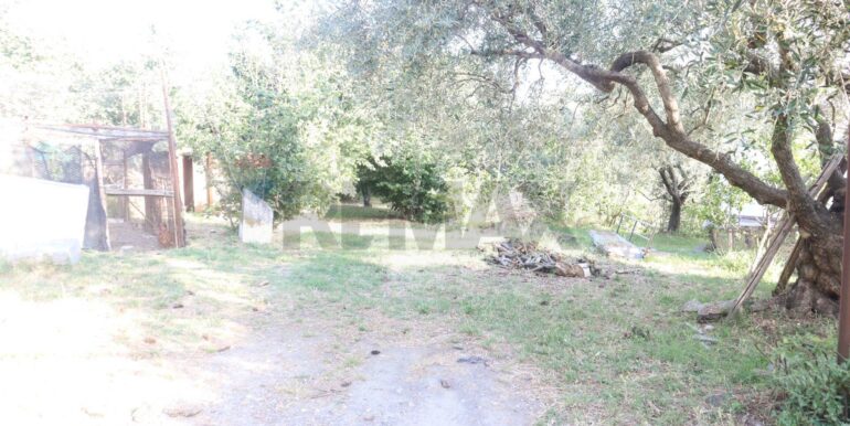 20260126184003-1019808-3