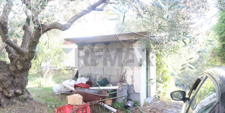 20260126184004-1019808-5