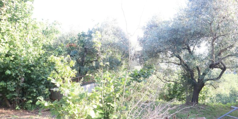 20260126184005-1019808-7