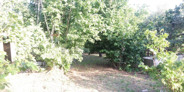 20260126184005-1019808-8