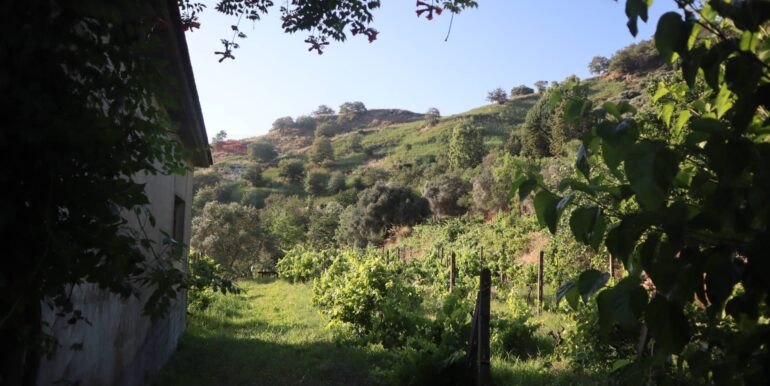 20260126184006-1019808-12