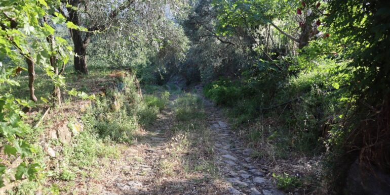 20260126184007-1019808-14