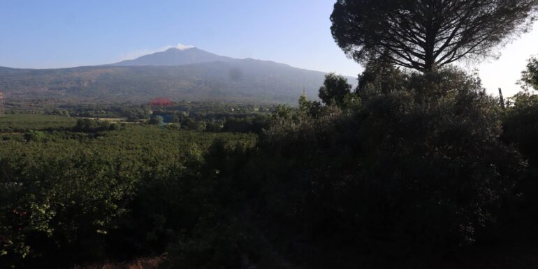 20260126184008-1019808-16