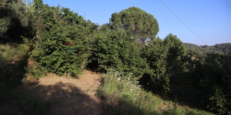 20260126184008-1019808-17