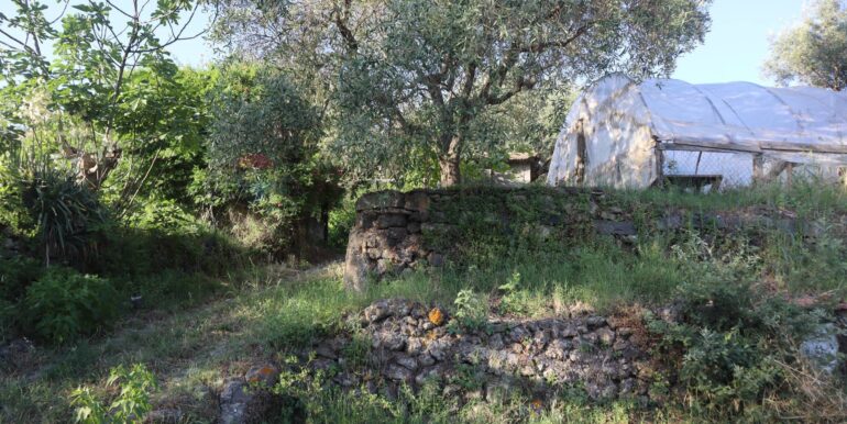 20260126184008-1019808-18