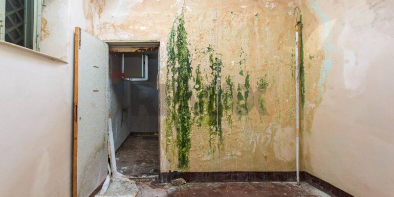 20260127105637-1019711-39