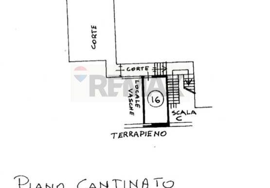 20260127120024-1019779-9