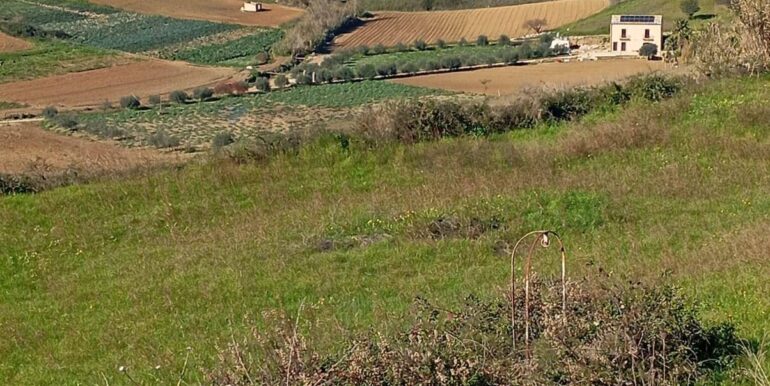 20260127201406-1019851-4