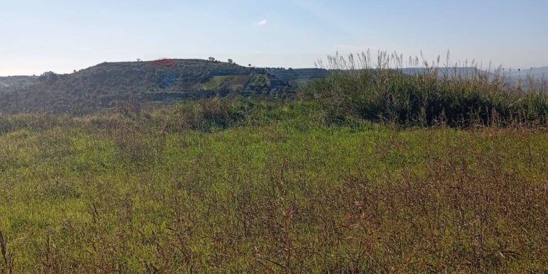 20260127201416-1019851-7