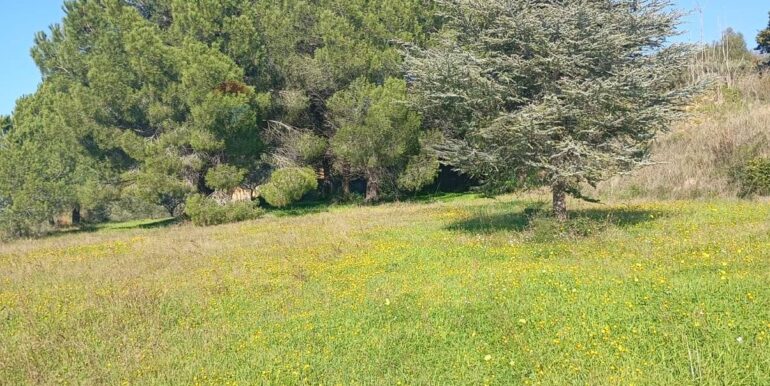 20260127201423-1019851-9