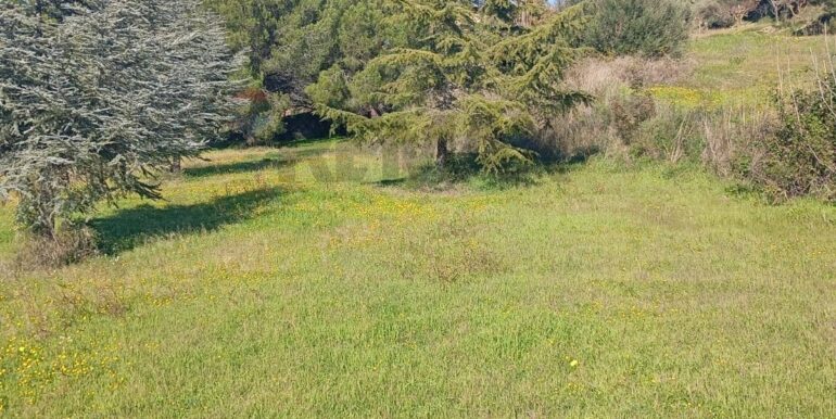 20260127201426-1019851-10