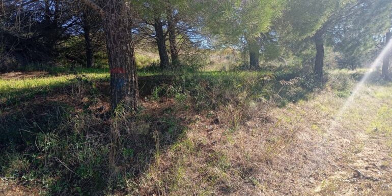 20260127201430-1019851-11