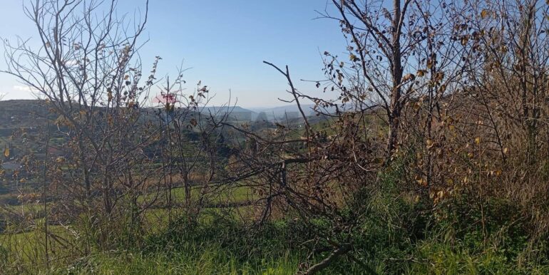 20260127201433-1019851-12