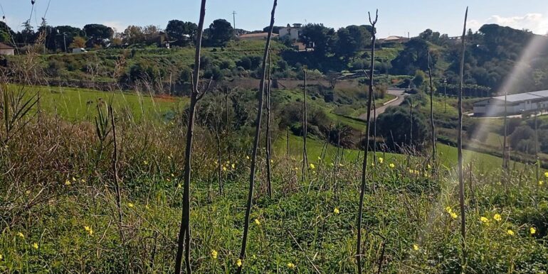 20260127201437-1019851-13