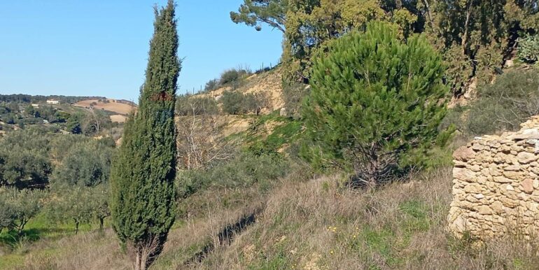 20260127201443-1019851-15