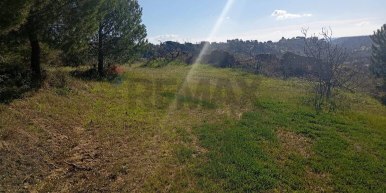 20260127201447-1019851-16