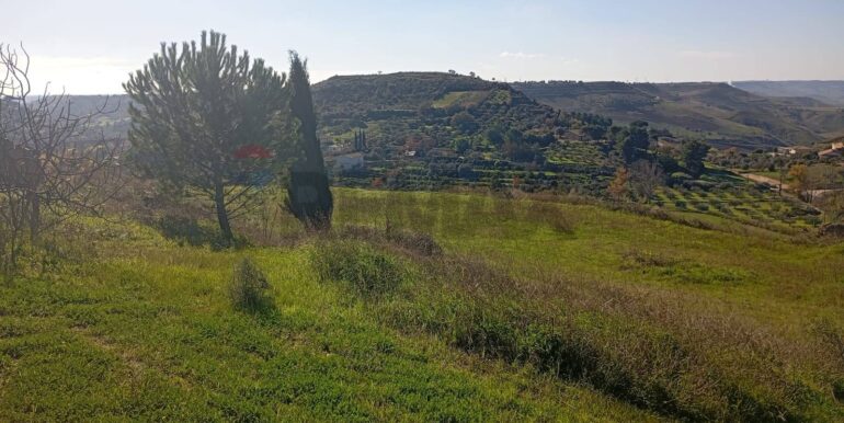 20260127201450-1019851-17