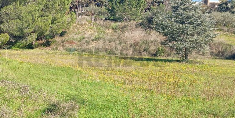 20260127201457-1019851-19