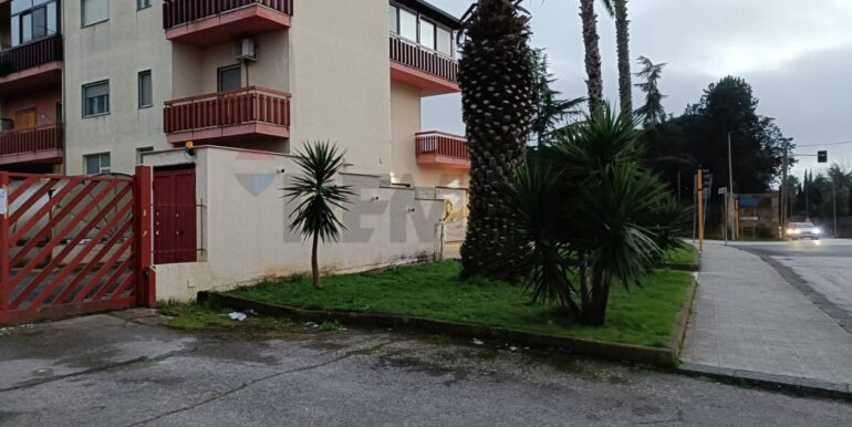 20260128121635-1016166-9