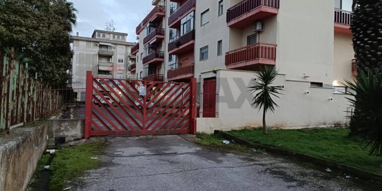 20260128144155-1020330-8