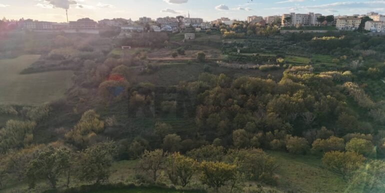 20260128173929-1020405-6