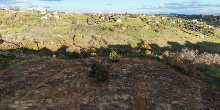 20260128174000-1020405-13