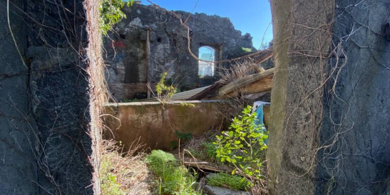 20260128191120-1020411-1