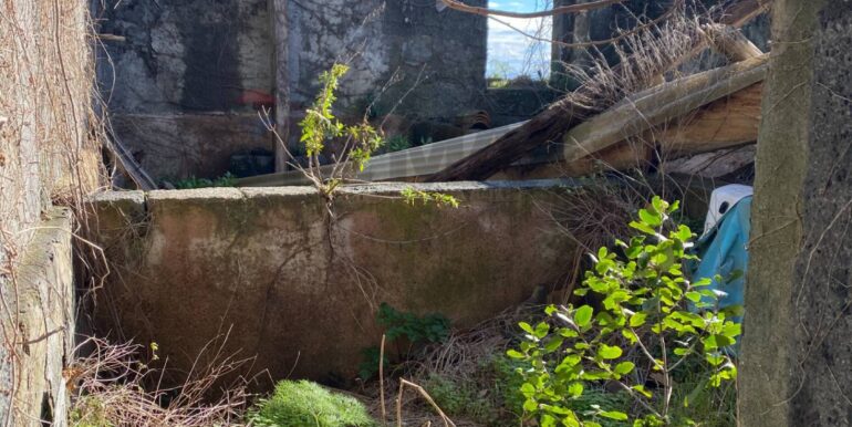 20260128191126-1020411-2