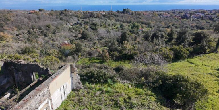 20260128191131-1020411-3