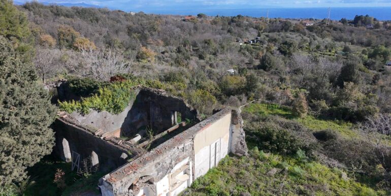 20260128191135-1020411-4