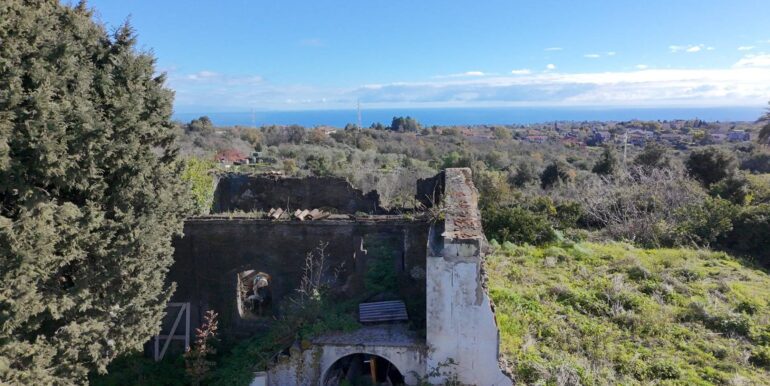 20260128191145-1020411-6