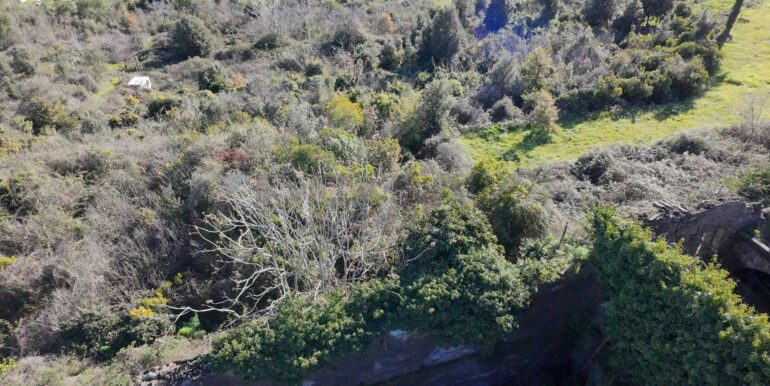 20260128191155-1020411-8