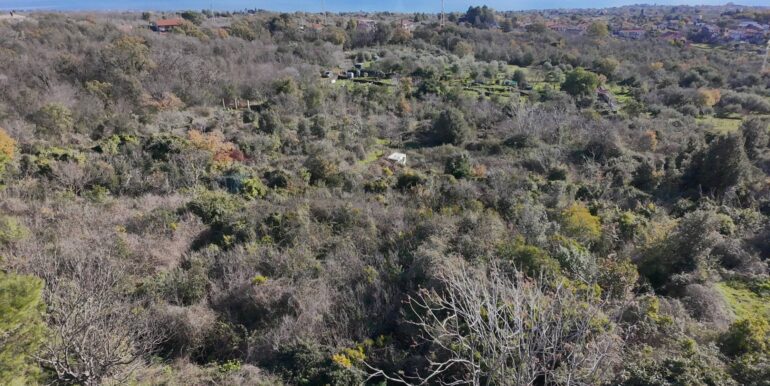 20260128191201-1020411-9