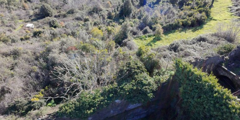 20260128191210-1020411-11