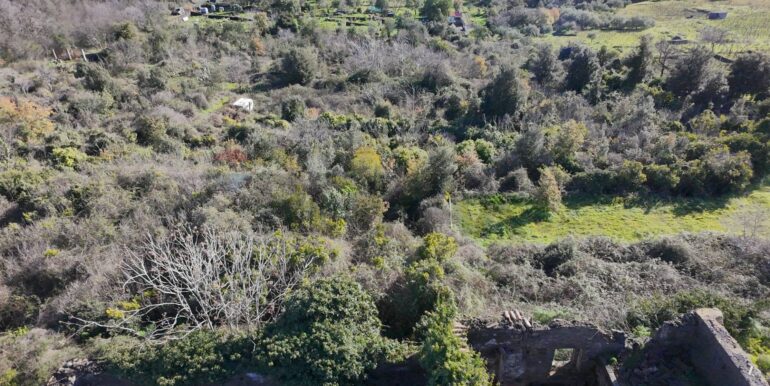 20260128191220-1020411-13