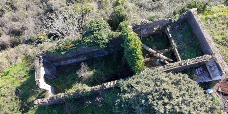 20260128191225-1020411-14