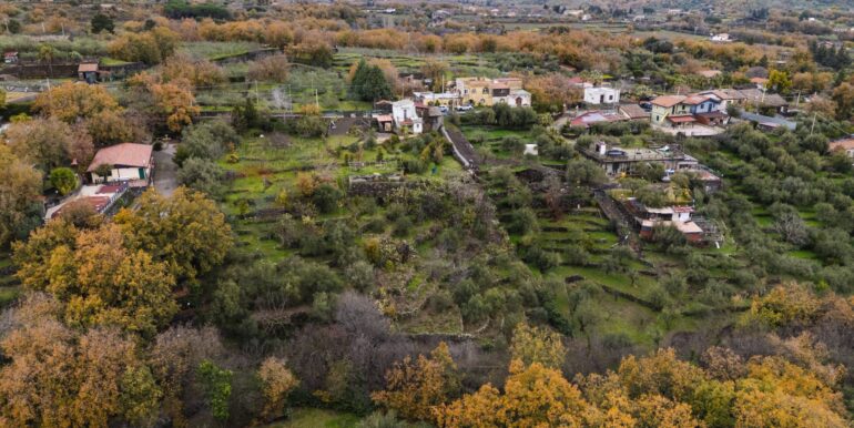 20260128224540-1020461-2