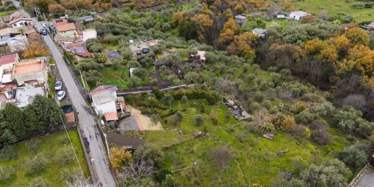 20260128224546-1020461-4