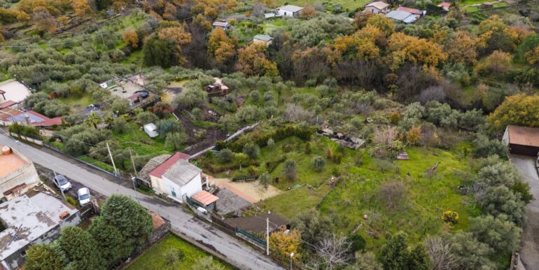 20260128224553-1020461-6