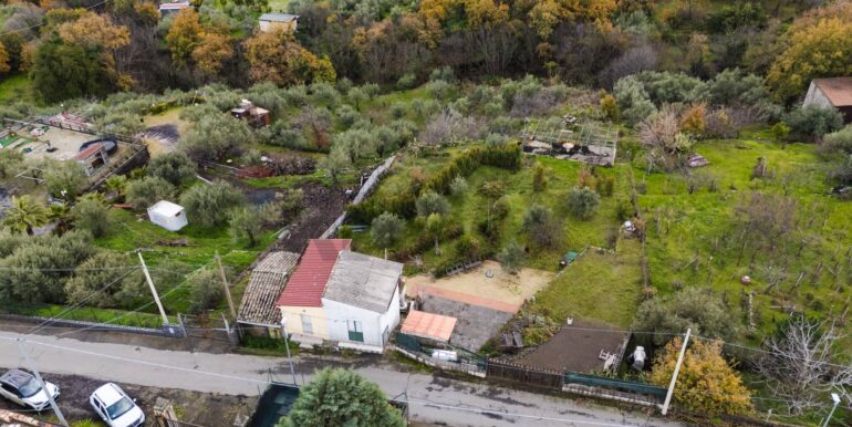 20260128224600-1020461-8