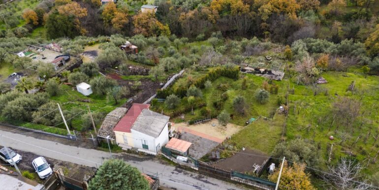 20260128224603-1020461-9