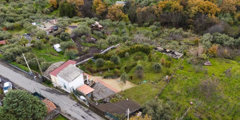 20260128224606-1020461-10