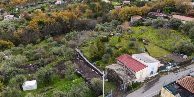 20260128224610-1020461-11